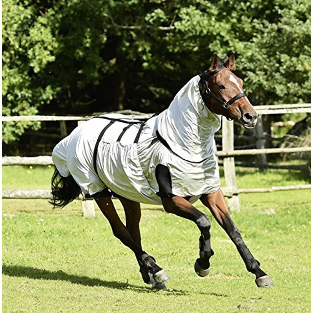 Coperta Riflettente Busse Reflection – Alta Visibilità Per Cavallo, Sicurezza Al Buio