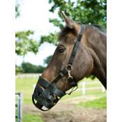 Busse Pferde-Fressbremse Plain Vergleich