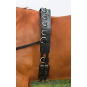 Busse Professional-Leder