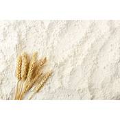 Buxtrade Weizenkleber