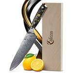 Calisso Chefmesser 67