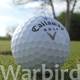 Callaway Warbird Vergleich