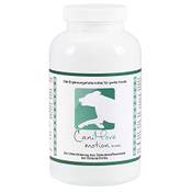 CaniMove Gelenktabletten