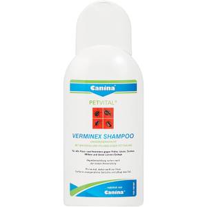 Spannende Milben Shampoo Hund Fotos