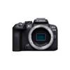 Canon EOS R10