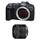 Canon EOS R8 + RF 24–50mm