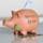 Casablanca Sparschwein