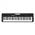 Casio CT-S100