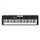 Casio CT-S100