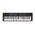 Casio LK-S450