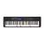 Casio LK-S450