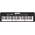 Casio LK-S250