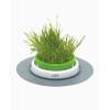 Catit Grass Planter