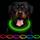 Ccww LED Leuchthalsband Hunde