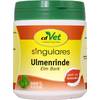 CdVet Ulmenrinde