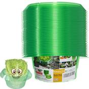 Cdyxew Schneckenkragen Vergleich