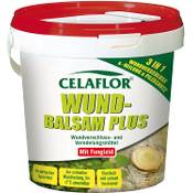 Celaflor Wundbalsam Plus Vergleich