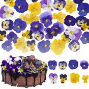 Celblisora Blumen zum Dekorieren