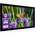 Celexon Basic Rahmenleinwand