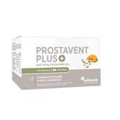 Cellavent Healthcare Prostata Komplex