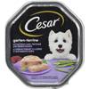 Cesar Garten-Terrine