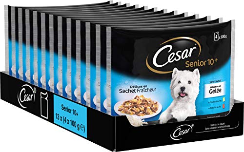 Cesar-Hundefutter Test & Vergleich  Top 10 im Juni 2026