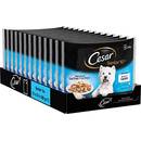Cesar Senior 10+ Wet Dog Food Selection