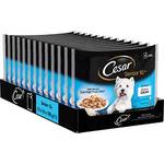Cesar Senior 10+ Wet Dog Food Selection