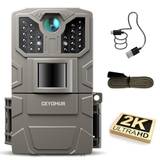 Ceyomur CY40