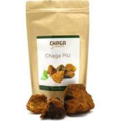Chaga Deluxe Chaga Pilz Vergleich