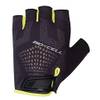 Chiba BioXCell Super Fly