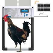 Chickenguard All-in-One Hühnerklappe