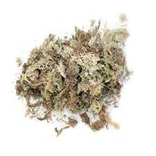 Chifans Sphagnum-Moos Vergleich