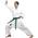 Chikara Taekwondo-Anzug