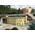 Chillroi Achteck Massiv Holzpool Modell 1A
