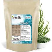 nur.fit Chlorella Vergleich