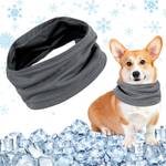Chongqilao Kühlhalsband für Hunde