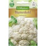 Chrestensen Blumenkohl "Neckarperle"