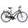 Chrisson Citybike Damen