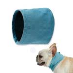 Chumix Kühlhalsband für Hunde