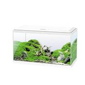 Ciano CIA054267