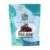 Cibo Crudo crudo biologico vegan Dulse