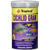 Tropical Cichlid Gran 