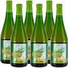 Cider Cidre de la France Brut Apfelwein