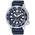 Citizen Eco-Drive BN0151-17L