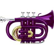 Classic Cantabile Brass TT-400 Bb-Taschentrompete