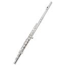 Classic Cantabile FL-200