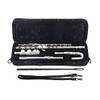Classic Cantabile FL-200U