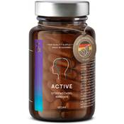 Clav N°3 Active