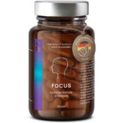 CLAV N°4 FOCUS Konzentration + Gehirnleistung